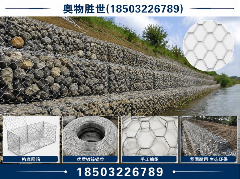 定安格宾网展示图